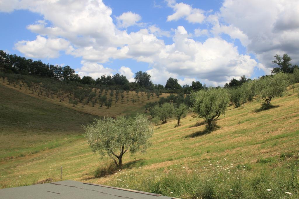 Agriturismo Le Buche Di Viesca Reggello Εξωτερικό φωτογραφία